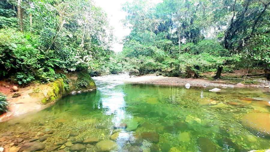 selva-vides-turismo-e-investigacion-y-operador-turistico-2