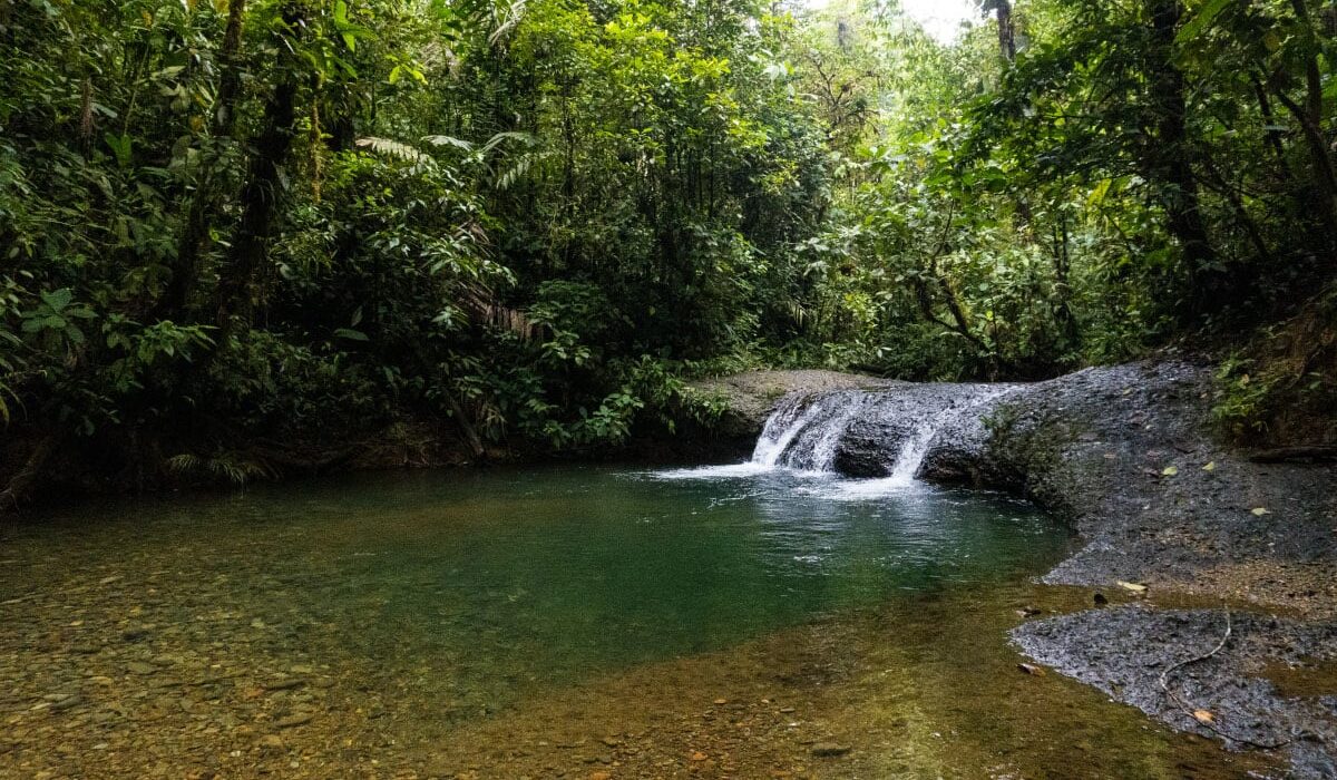 pasadia-san-cipriano-refugio-del-amor-disfruta-buenaventura