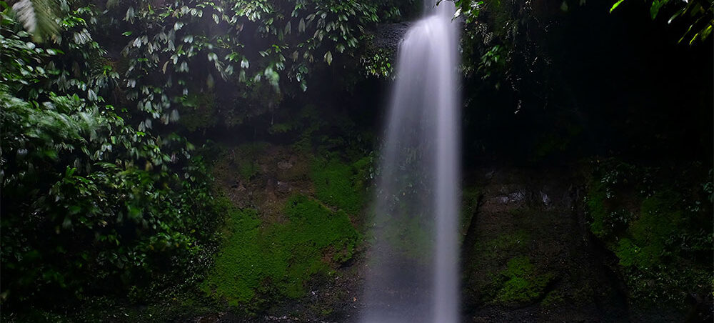 reserva-natural-san-cipriano-buenaventura