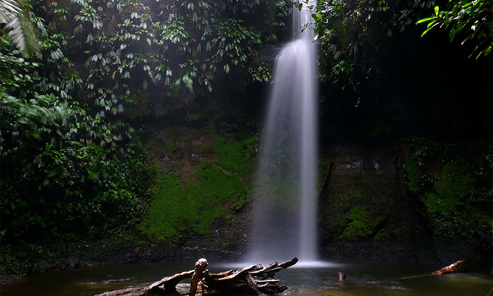 reserva-natural-san-cipriano-buenaventura